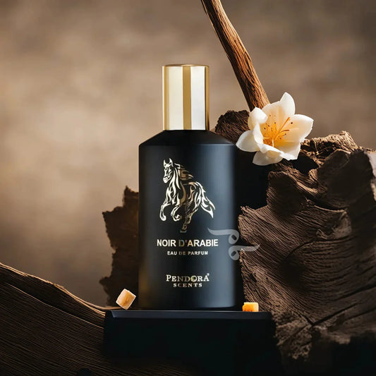 Noir D'Arabie - Pendora Scents